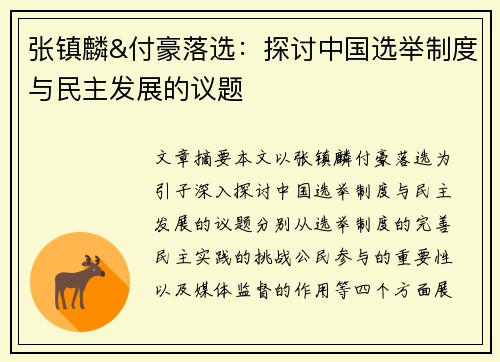 张镇麟&付豪落选：探讨中国选举制度与民主发展的议题